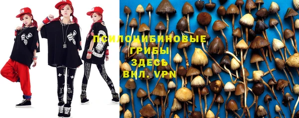 apvp Абдулино