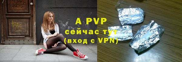 молекула духа Ростов